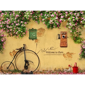 File tranh nền tường vật dụng hoài cổ và hoa hồng - DT025