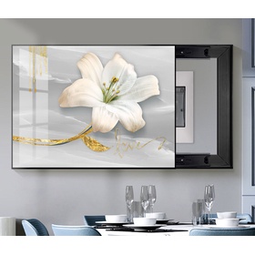 File tranh che hộp điện hiện đại - HQ-575