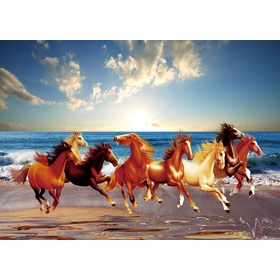 File tranh mã đáo thành công - MD0017