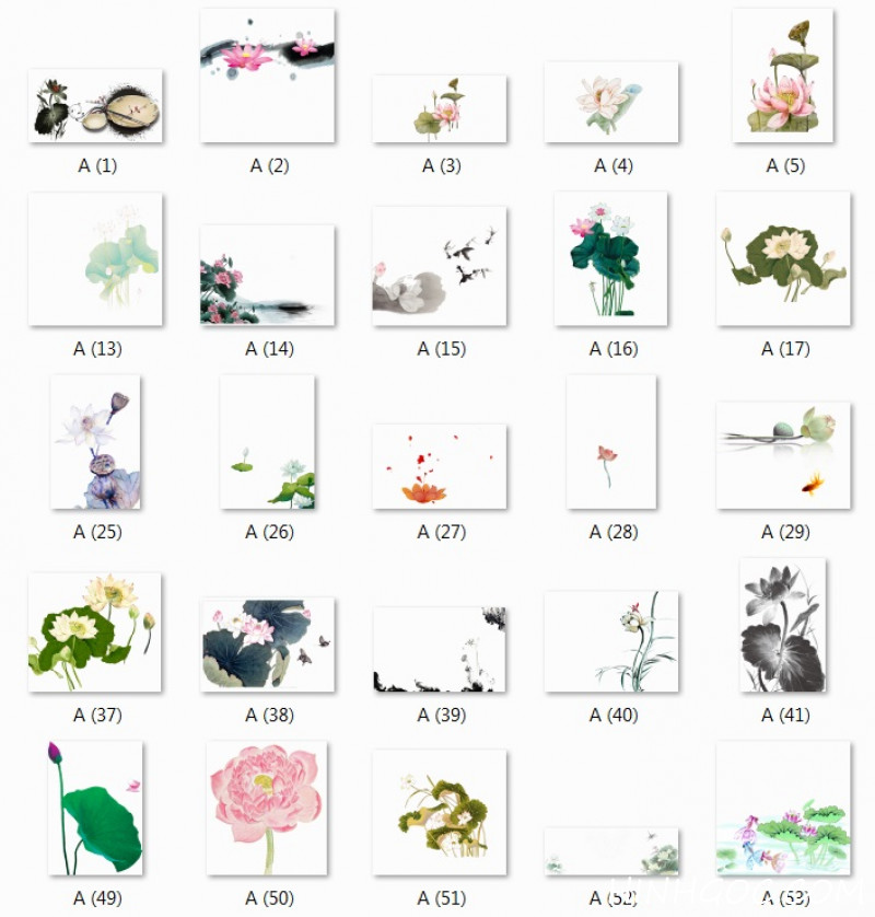 148 ảnh png hoa sen, lá sen độ nét cao - HGn1