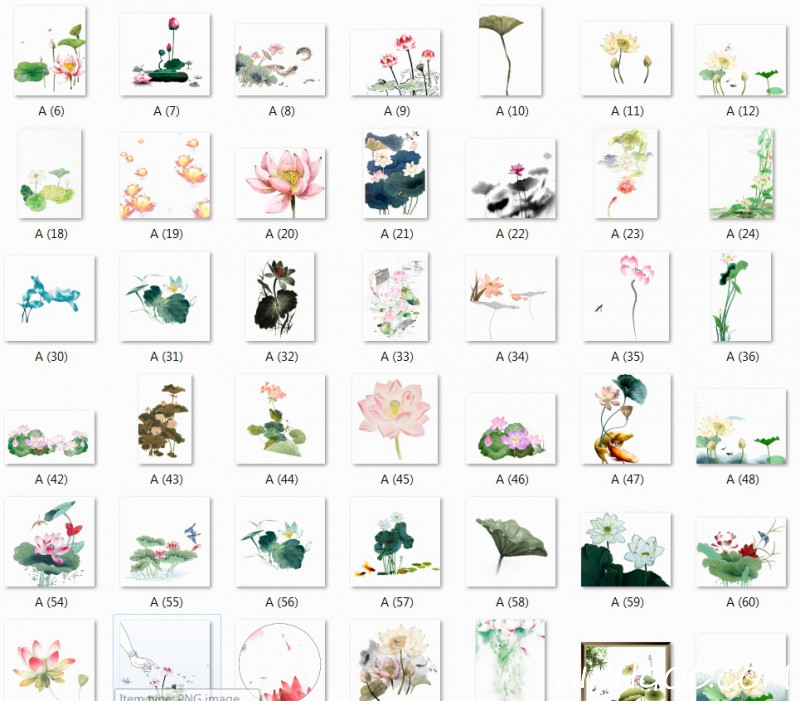 148 ảnh png hoa sen, lá sen độ nét cao - HGn1