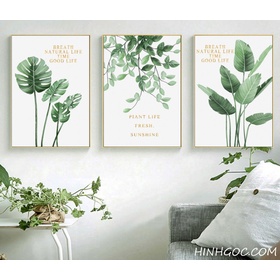 File tranh bộ 3 bức lá nhiệt đới vẽ tay - HG347