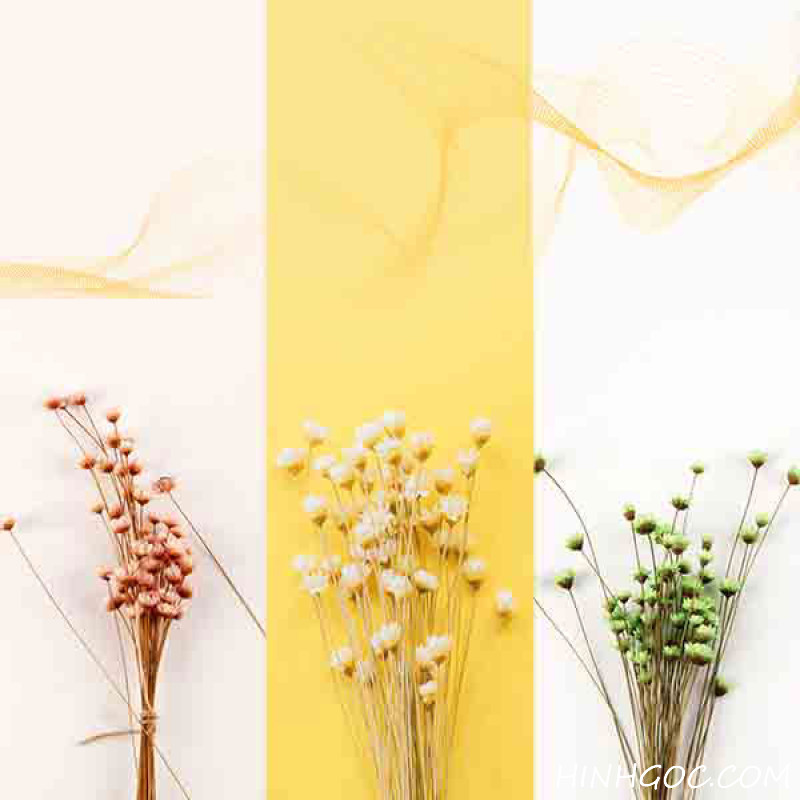 File tranh hoa tuyết nhiệt đới snowy flower - HG349