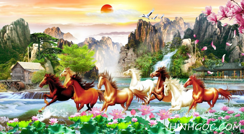 File tranh mã đáo thành công - MD0007