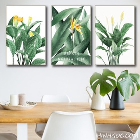 File tranh cây màu nước vẽ tay - OP18450098